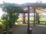 Haffblick-18-Pavillion